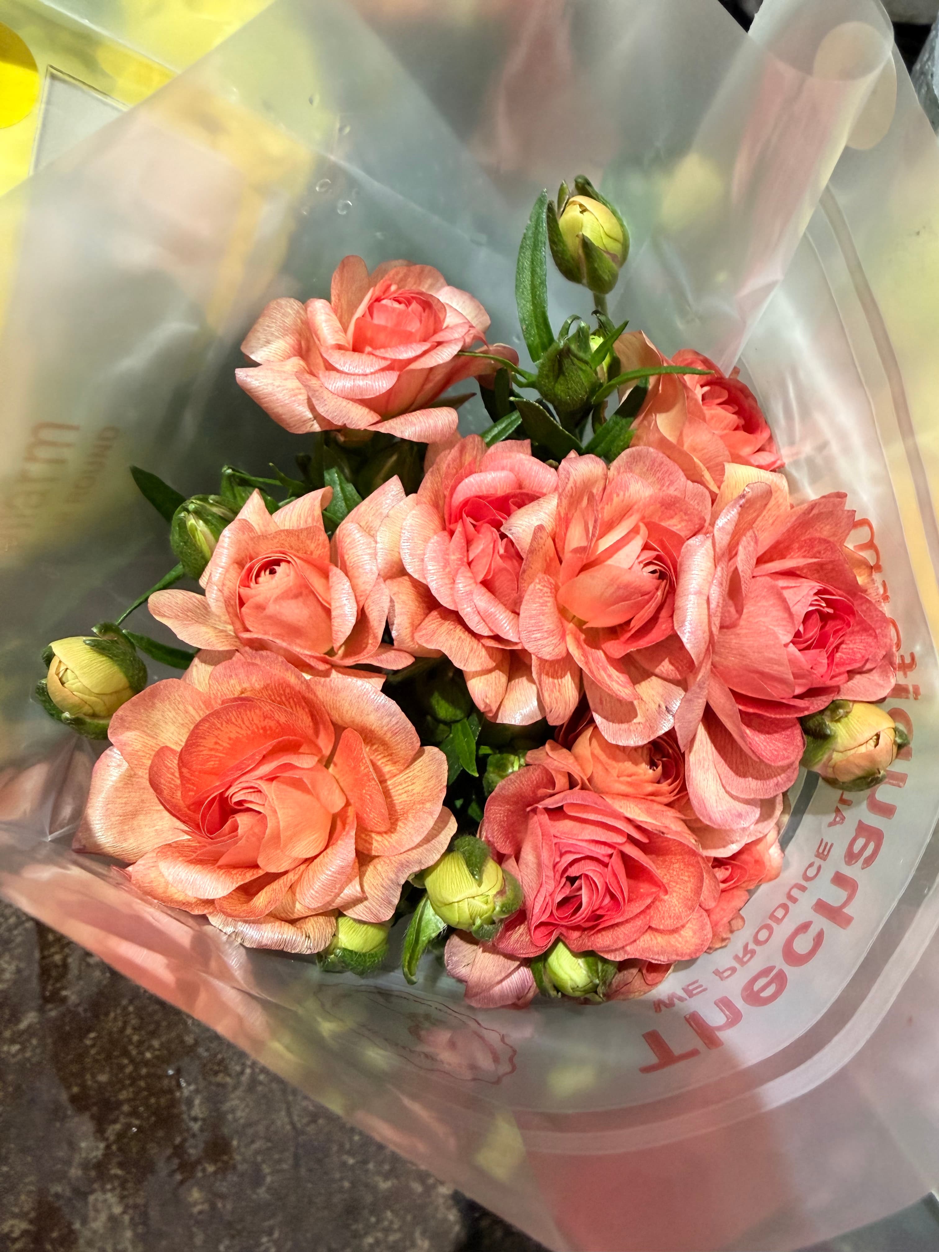 Butterfly Ranunculus