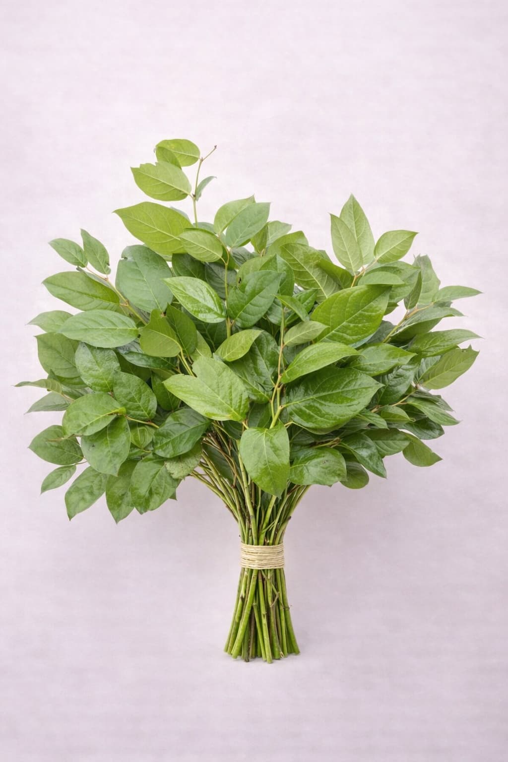 Lemon Bunch - Image 1