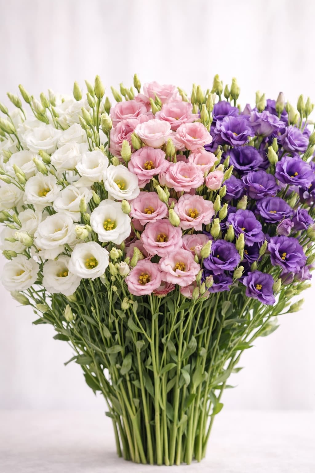 Lisianthus - Image 1